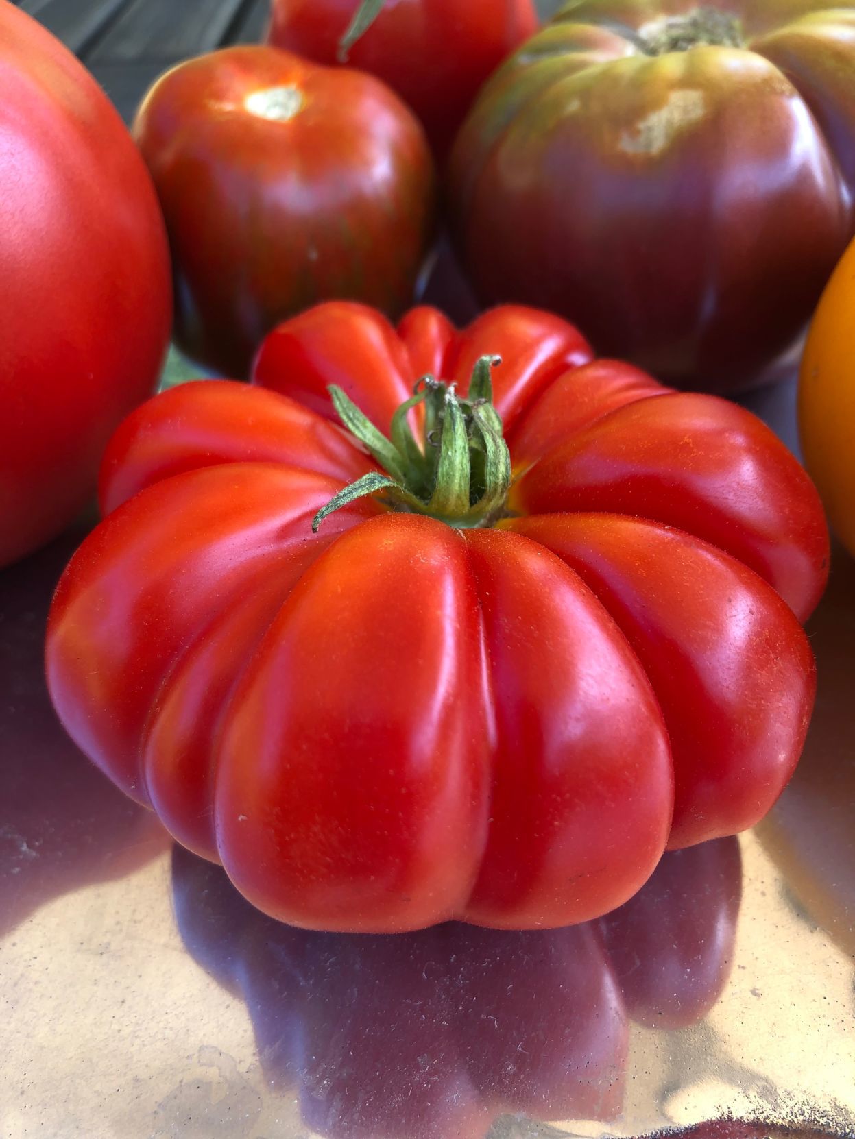 Costoluto Genovese